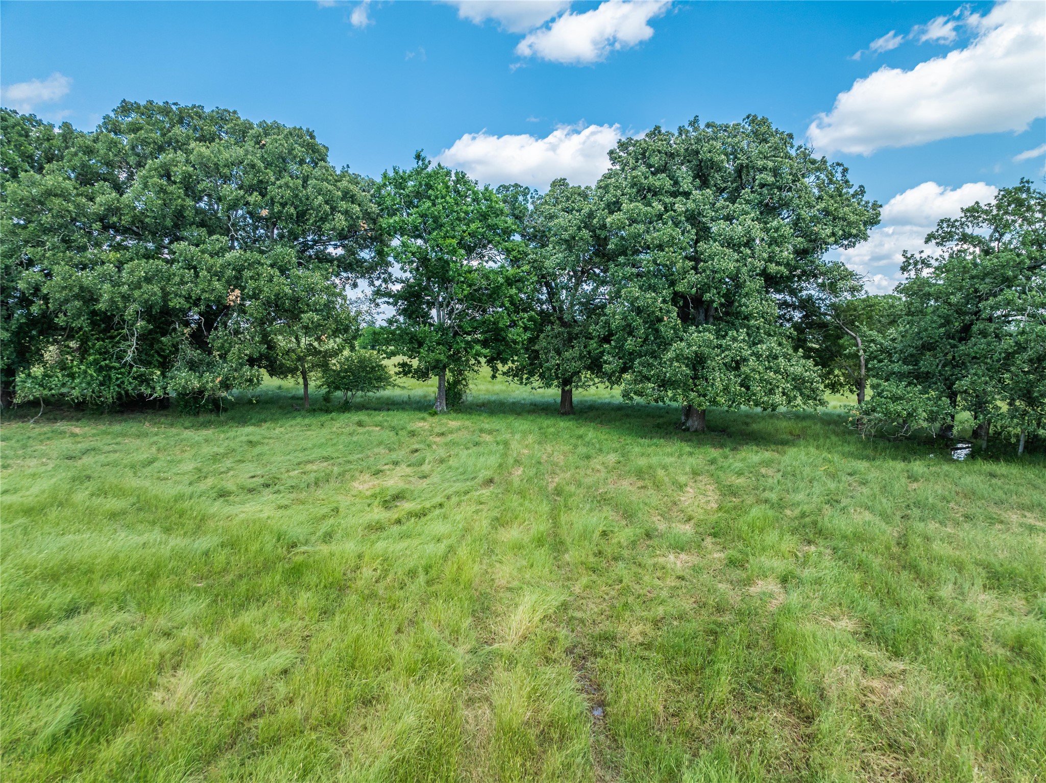 TBD COUNTY ROAD 14550