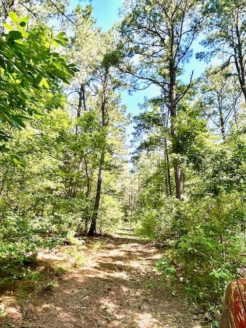 75 Acres Highway 37