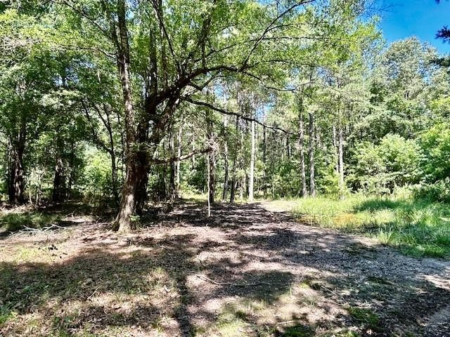 75 Acres Highway 37