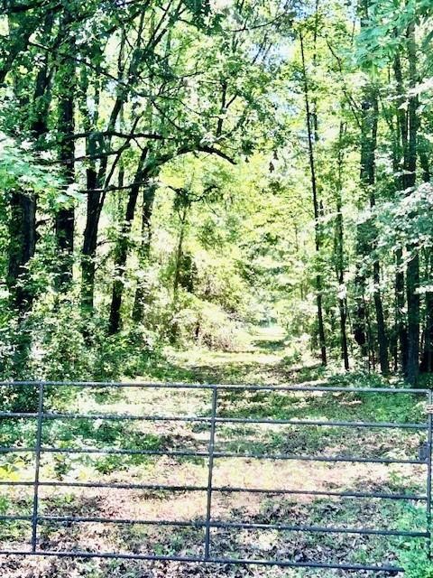 75 Acres Highway 37