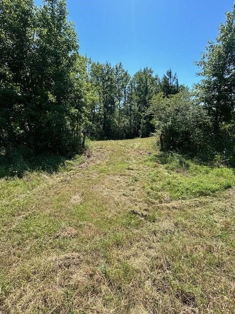 75 Acres Highway 37