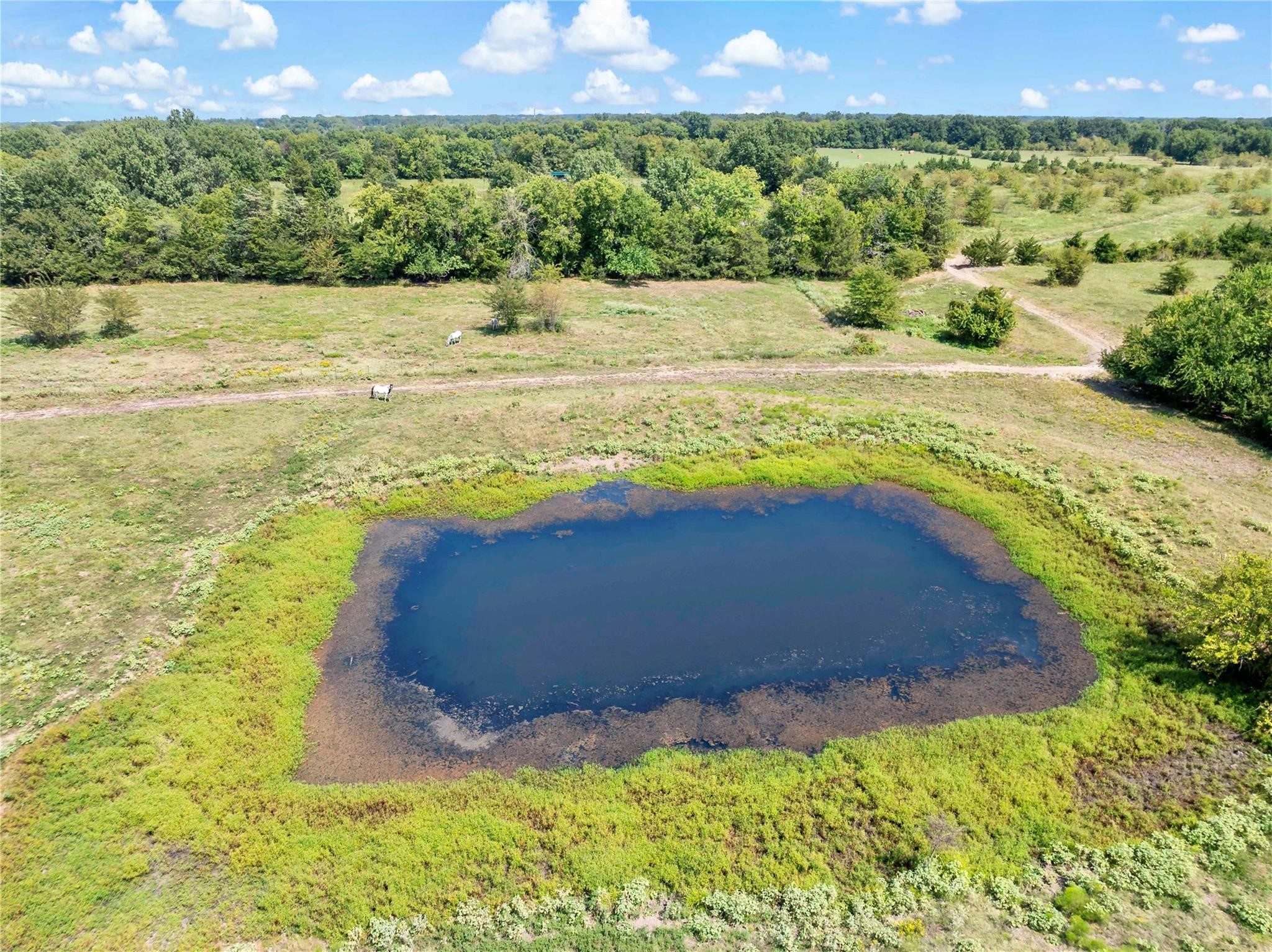 TBD Farm Road 909