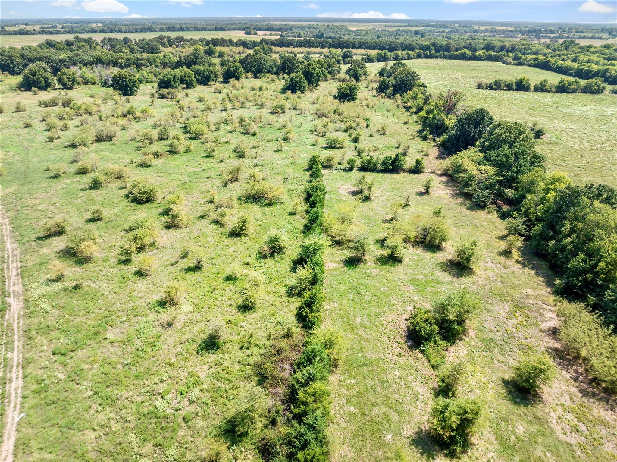 TBD Farm Road 909
