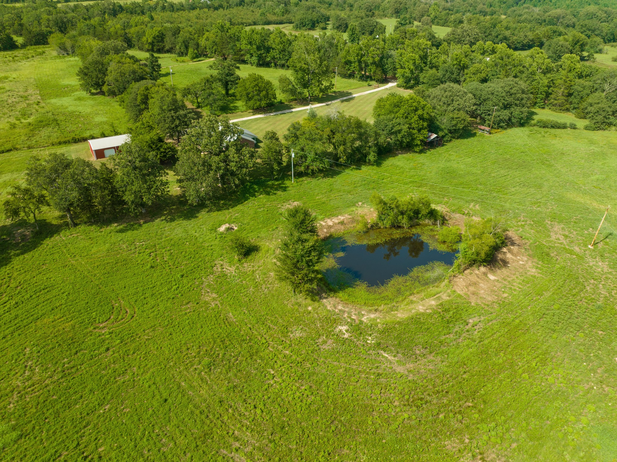 1234 COUNTY ROAD 1436