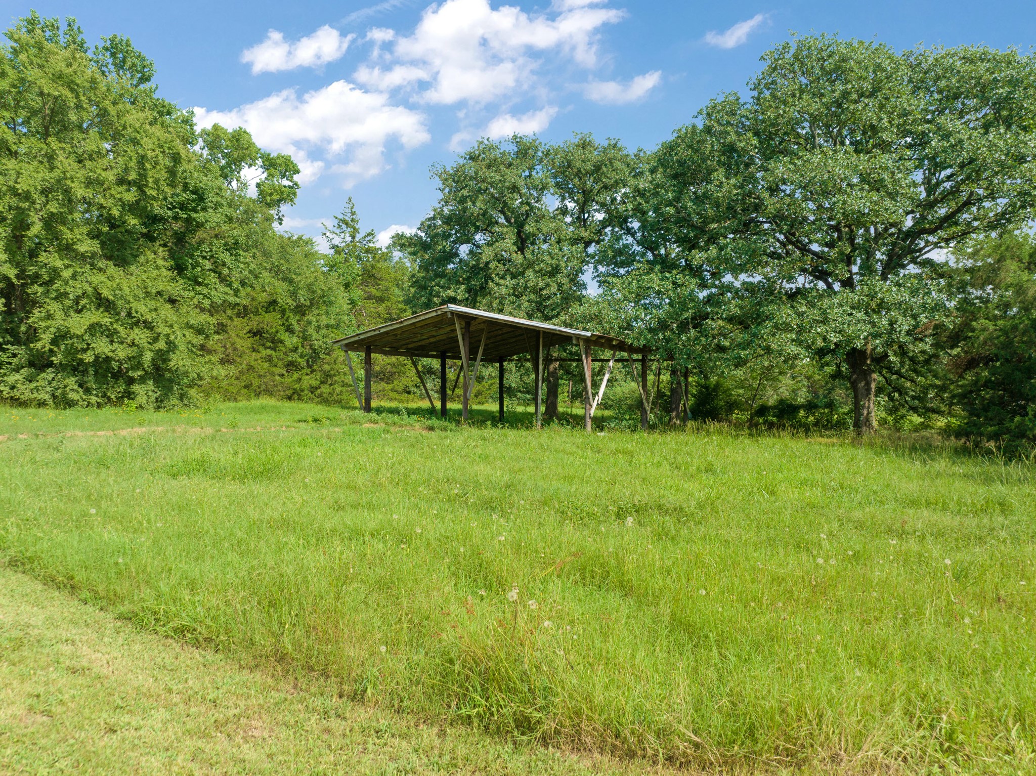 1234 COUNTY ROAD 1436