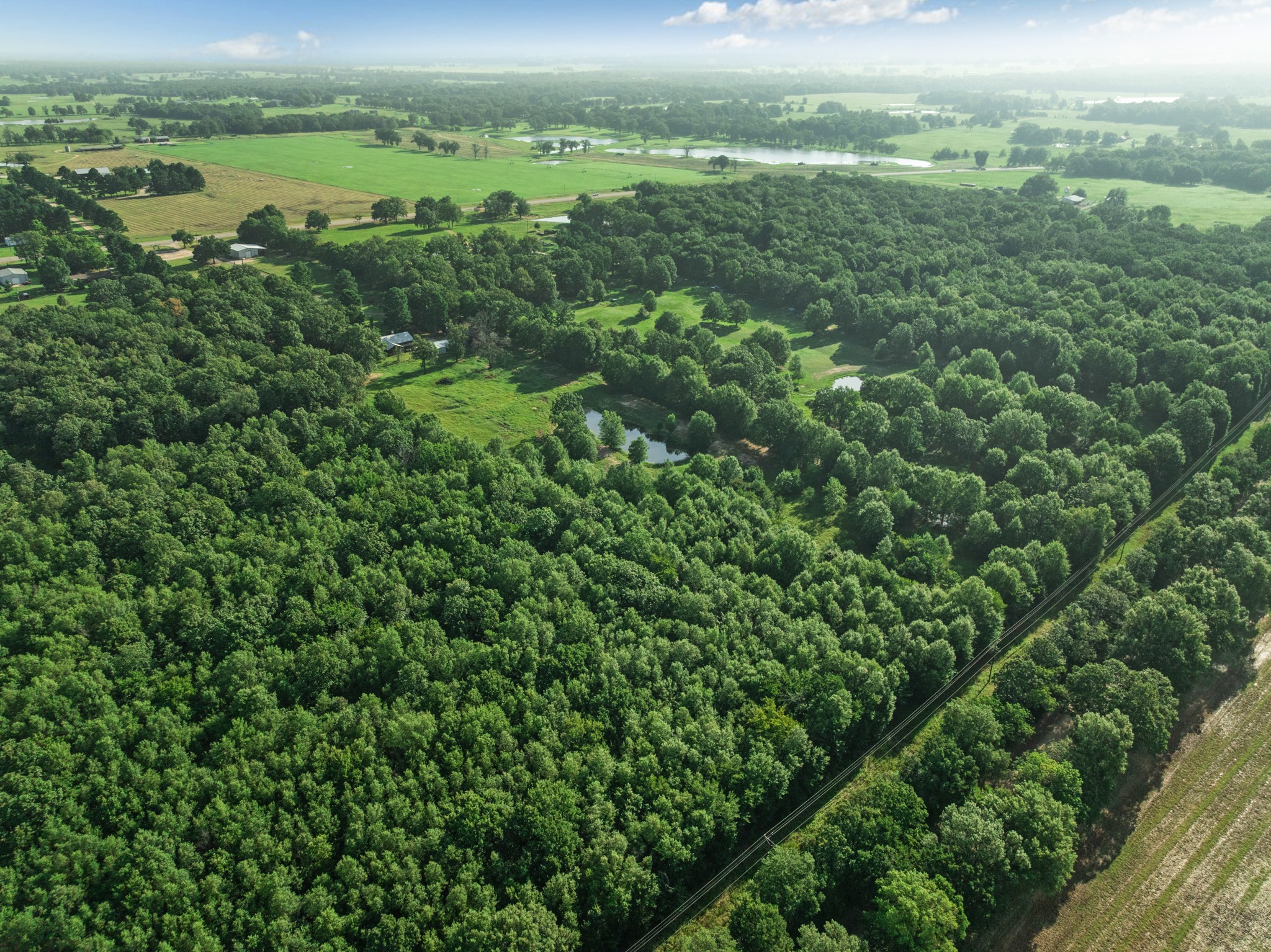 10510 US Highway 82 E