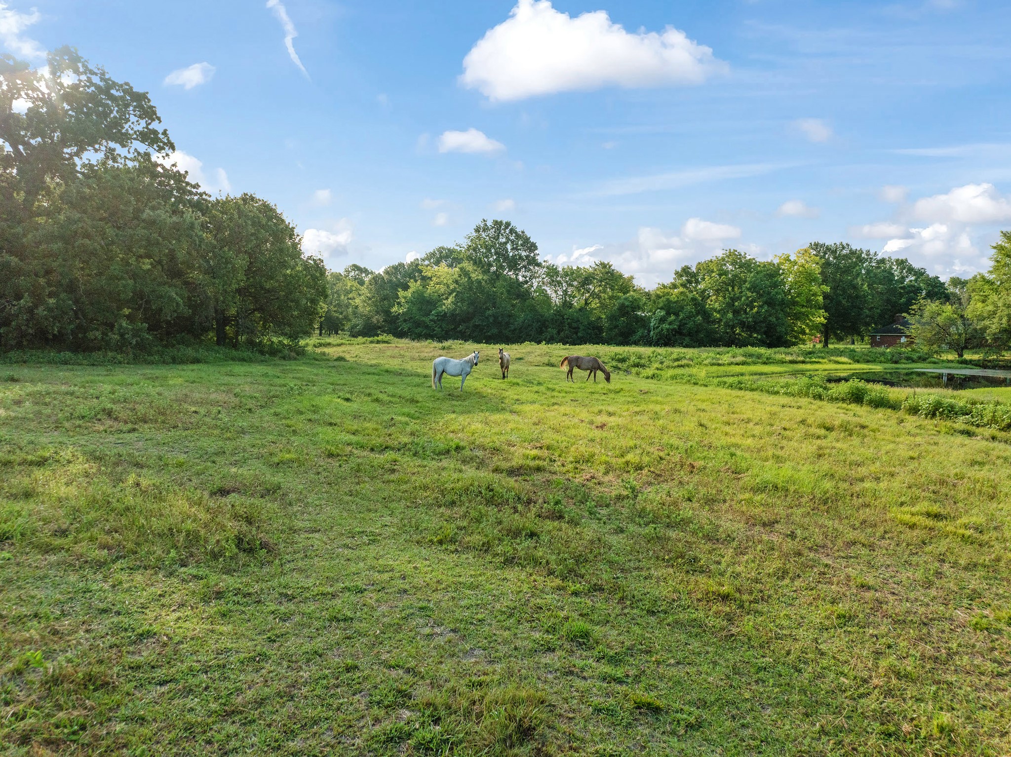 000 S COUNTY ROAD 13350