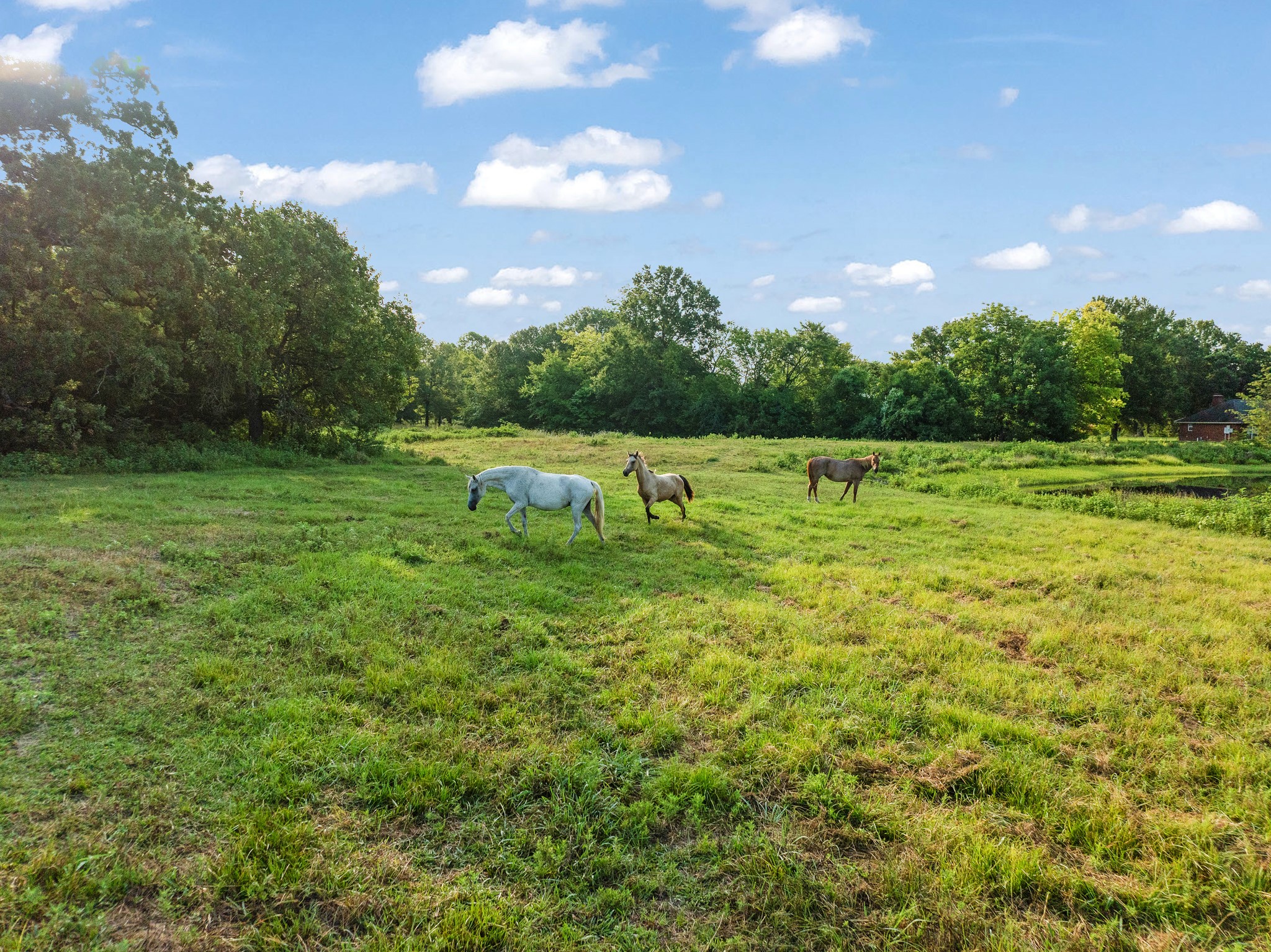 000 S COUNTY ROAD 13350