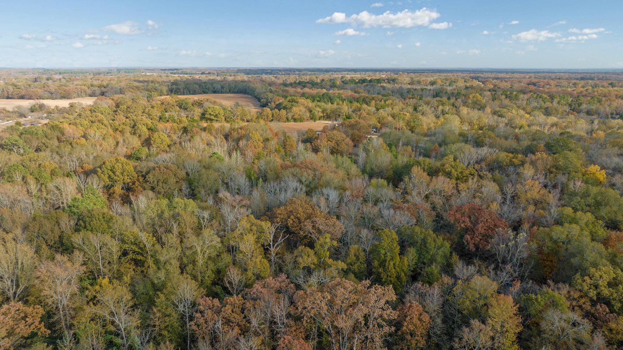 TBD COUNTY ROAD 1440