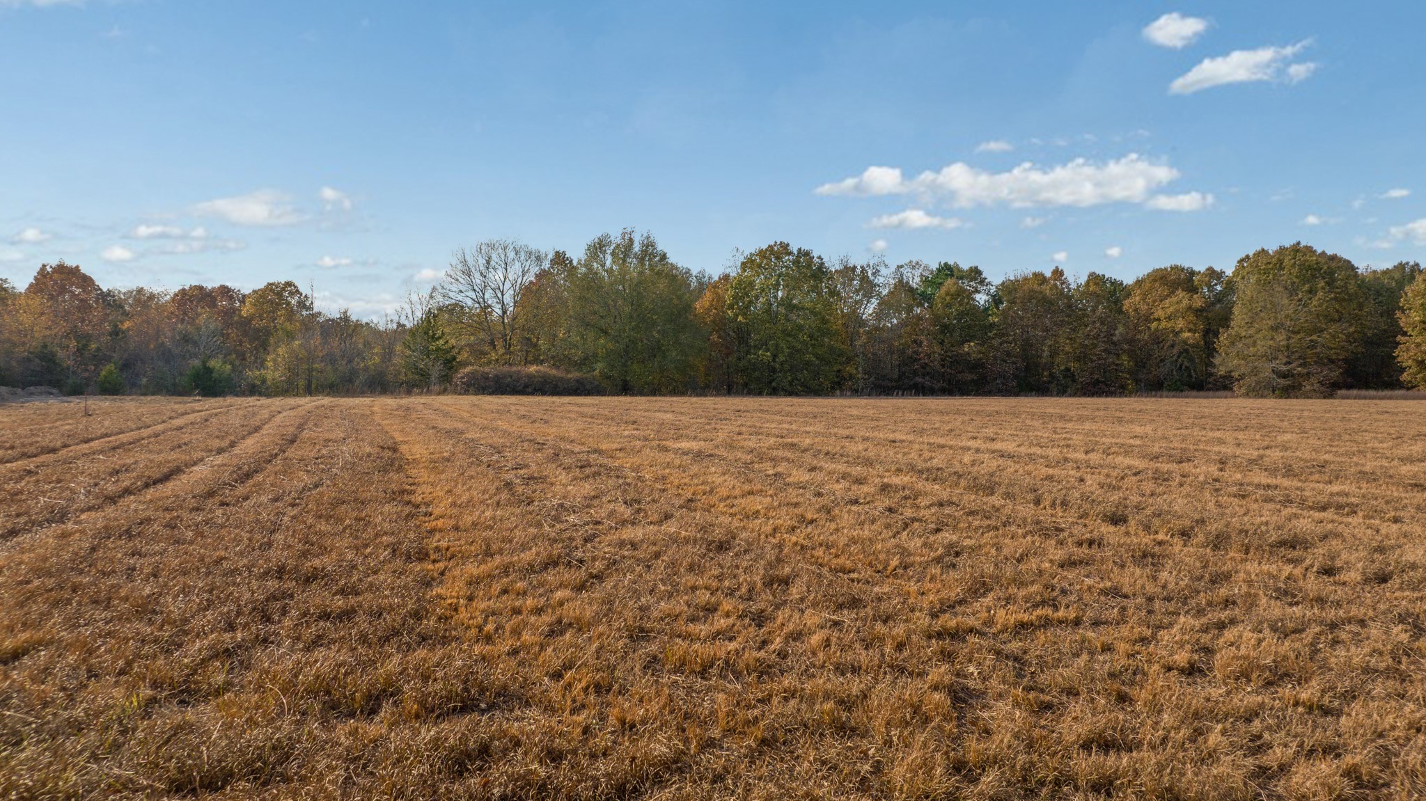 TBD COUNTY ROAD 1440