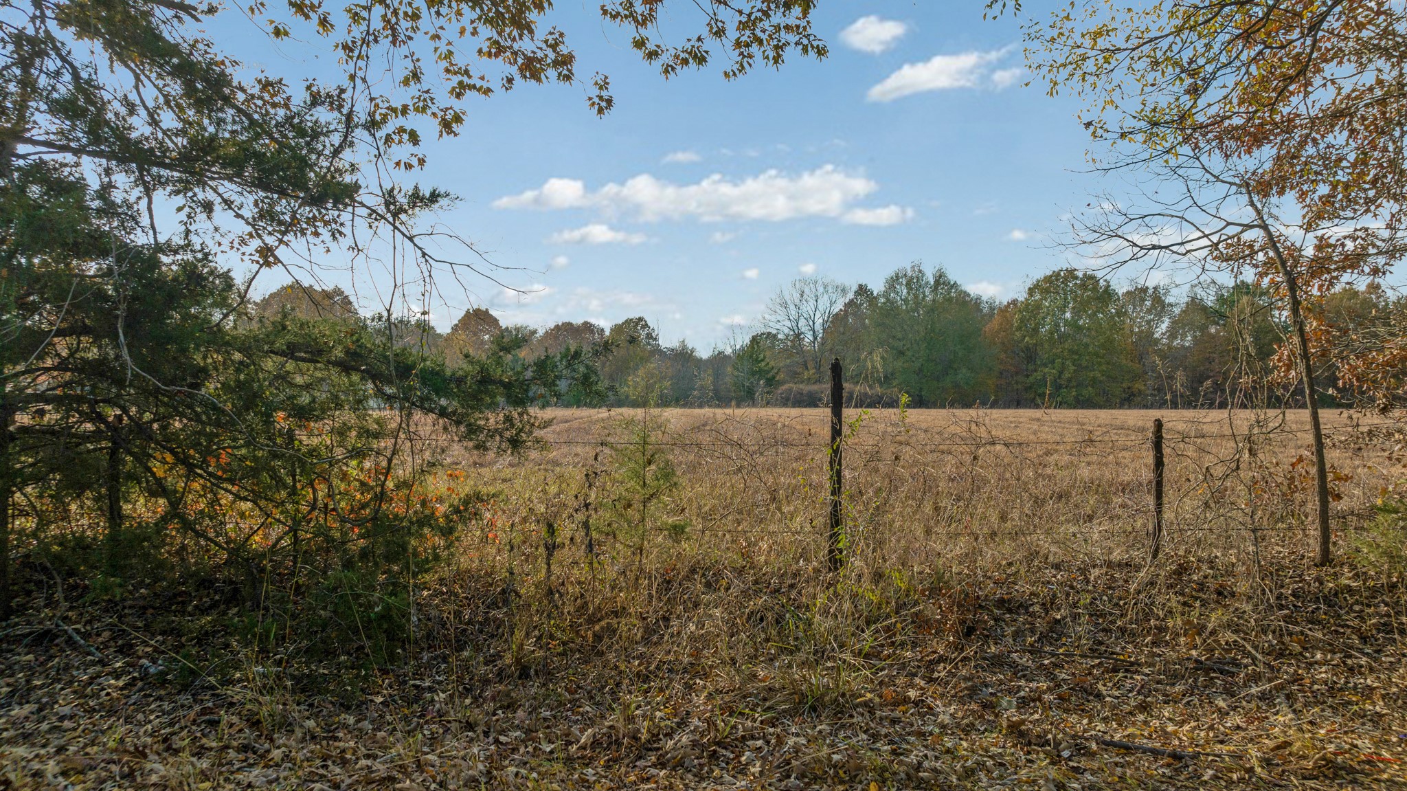 TBD COUNTY ROAD 1440