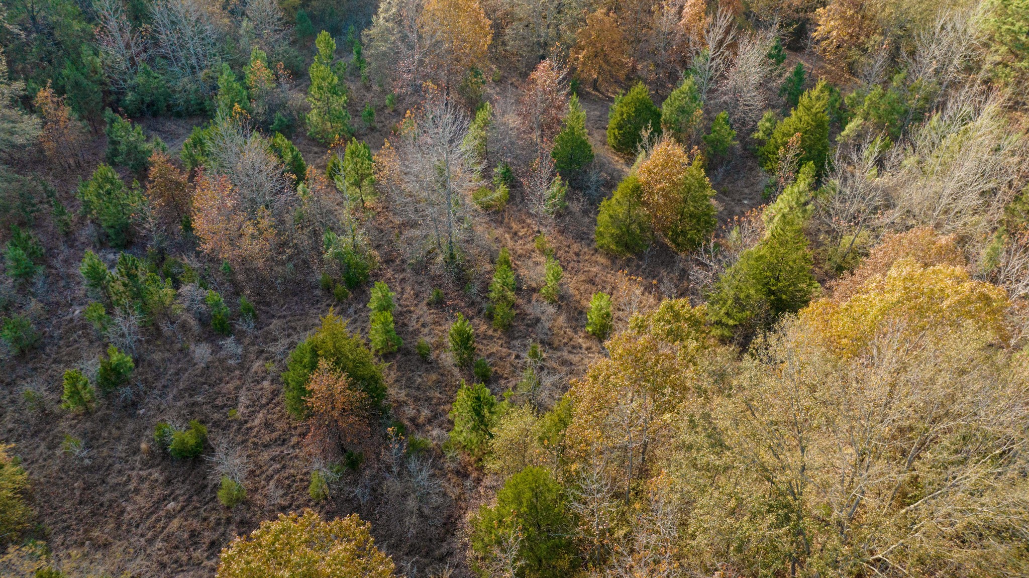 TBD COUNTY ROAD 1440