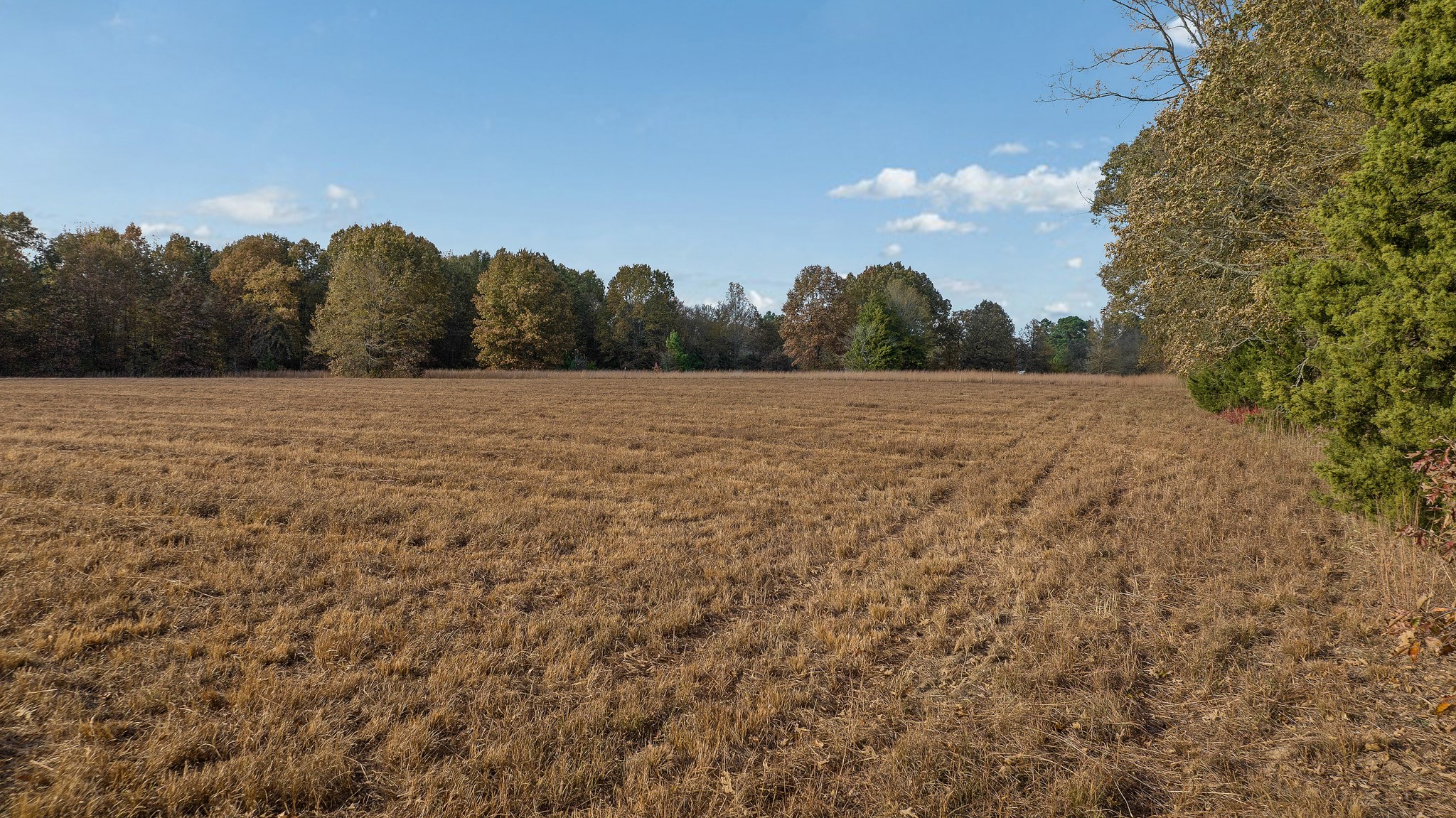 TBD COUNTY ROAD 1440