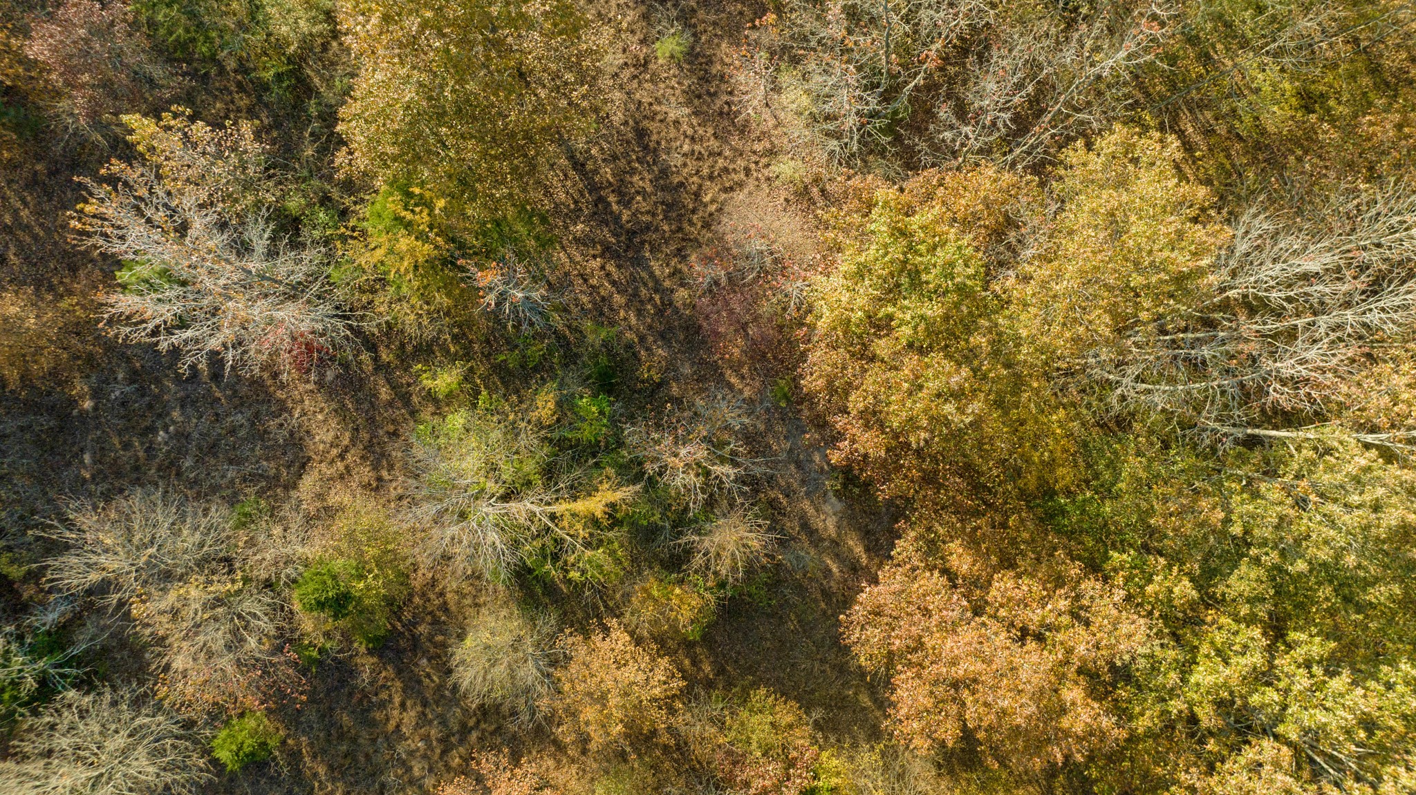 TBD COUNTY ROAD 1440