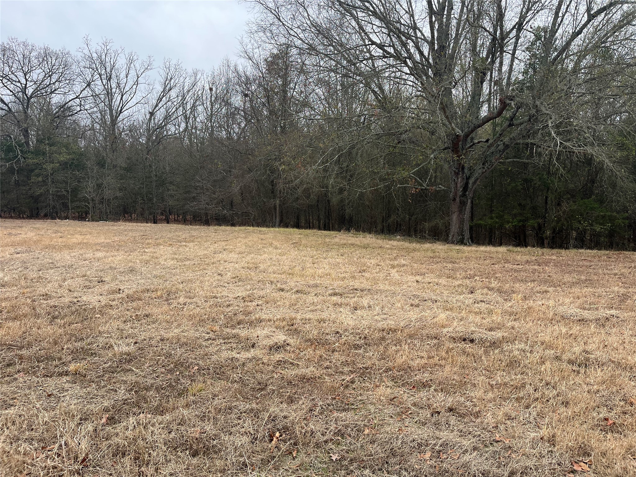 3771 COUNTY ROAD 44800