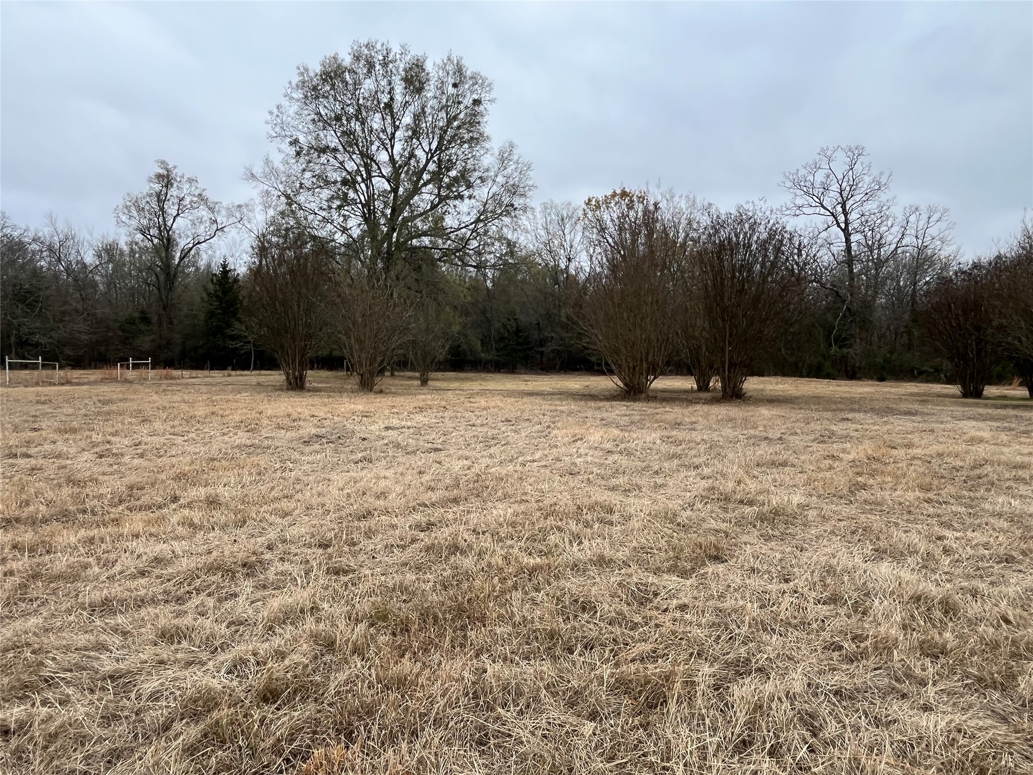 3771 COUNTY ROAD 44800