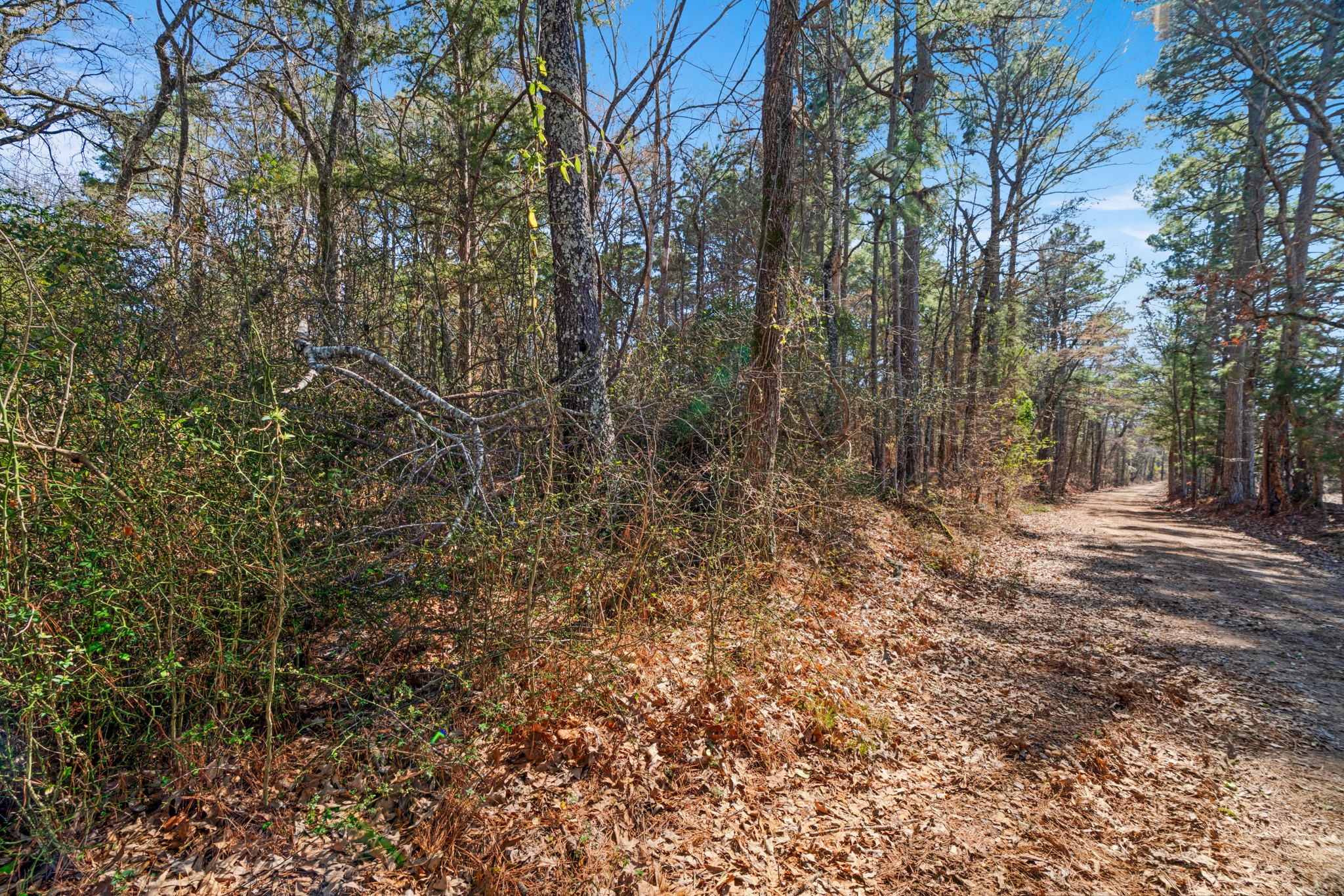 TBD #2 County Road 2237