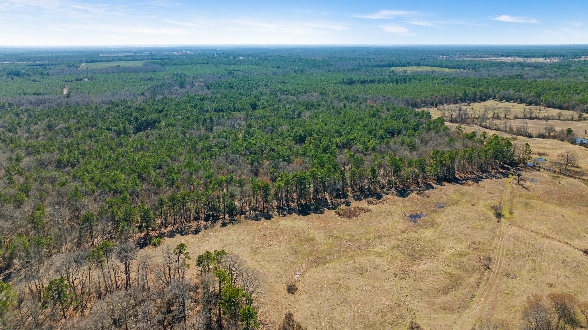 TBD #2 County Road 2237