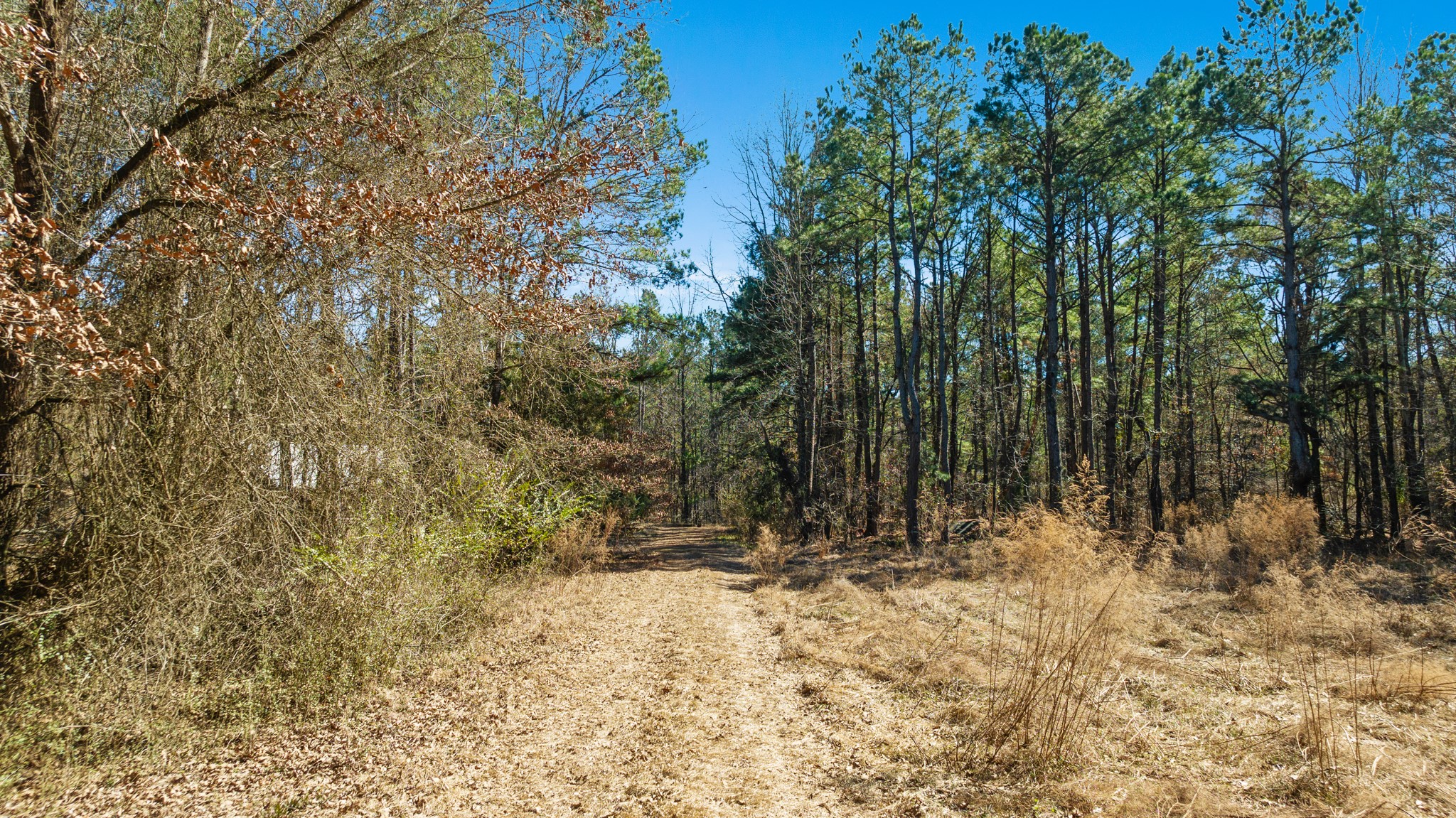 TBD #2 County Road 2237