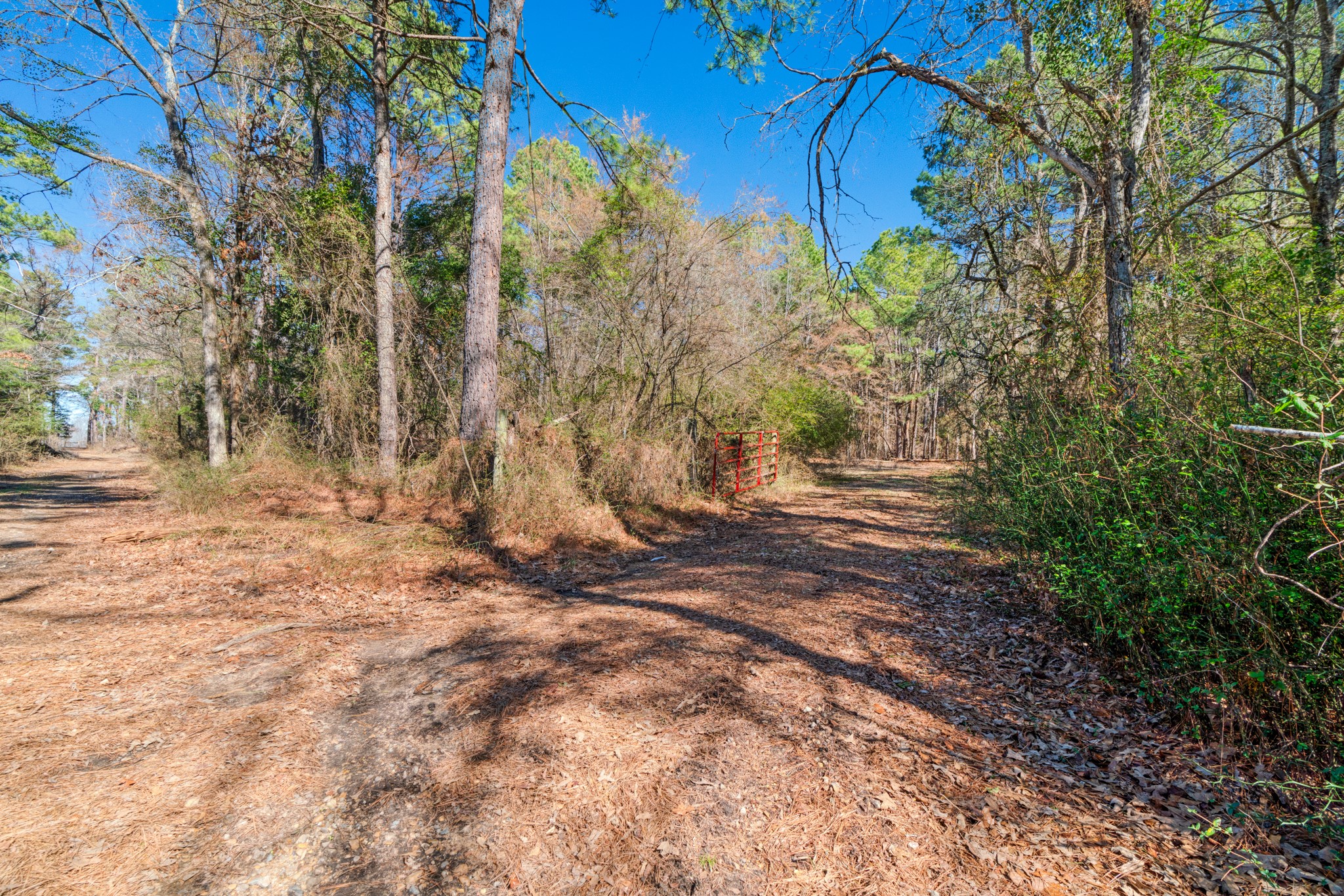 TBD #2 County Road 2237