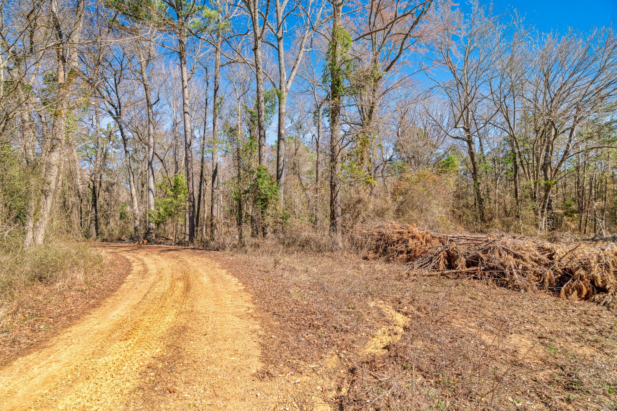 TBD #2 County Road 2237