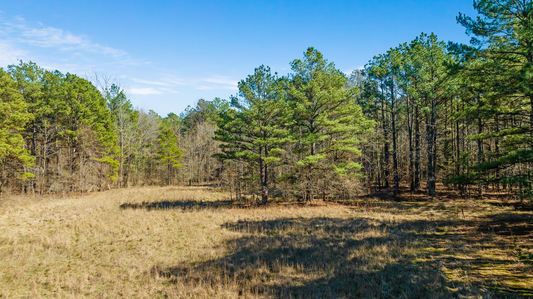 TBD County Road 2237