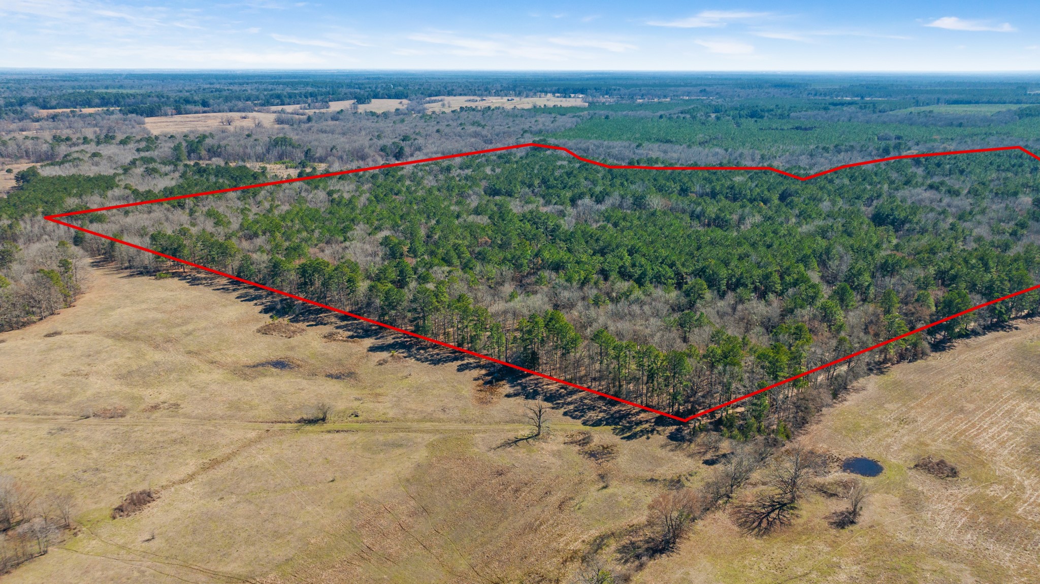 TBD County Road 2237