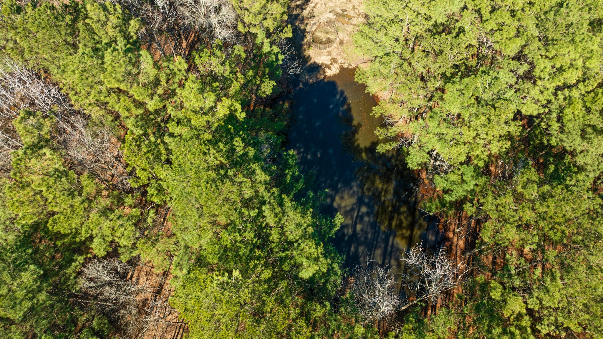 TBD County Road 2237