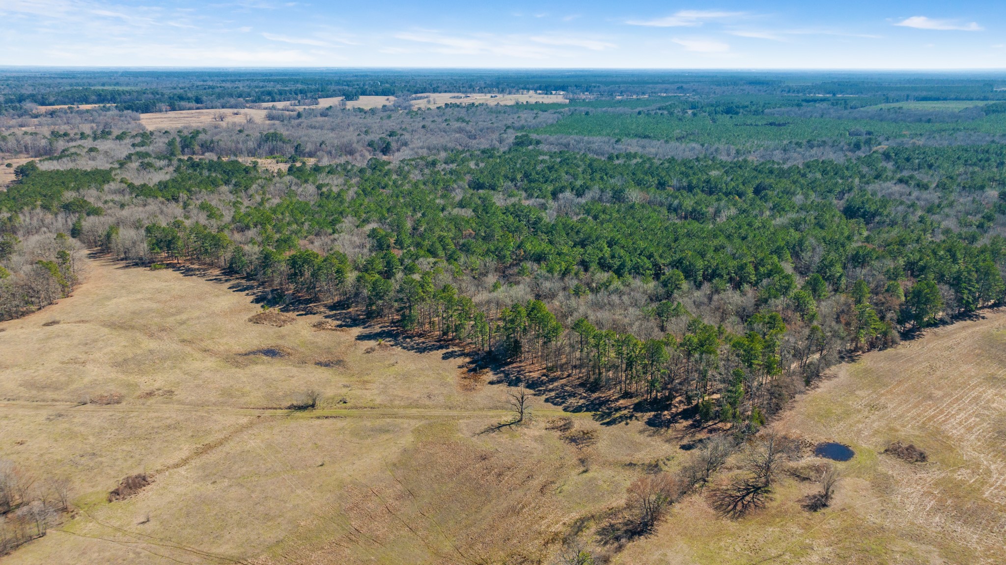 TBD County Road 2237