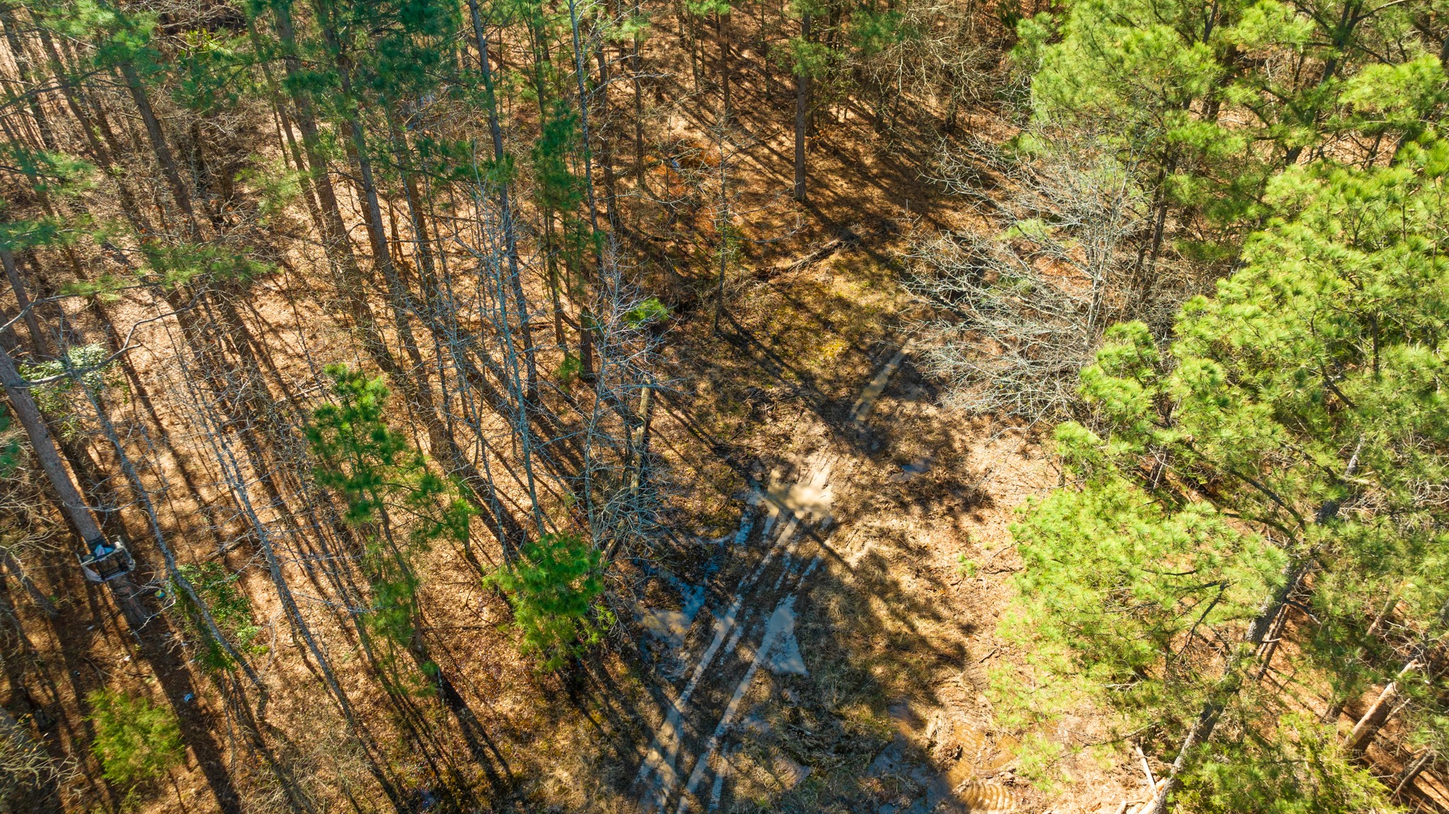 TBD County Road 2237