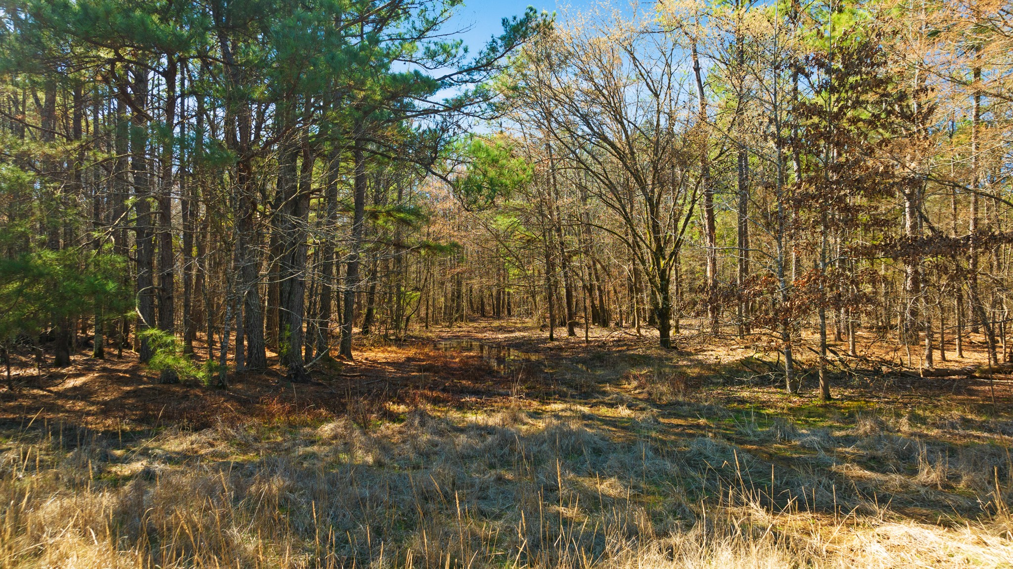 TBD County Road 2237