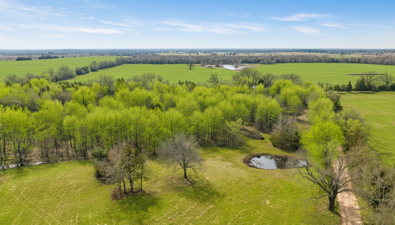 TBD County Road 1420