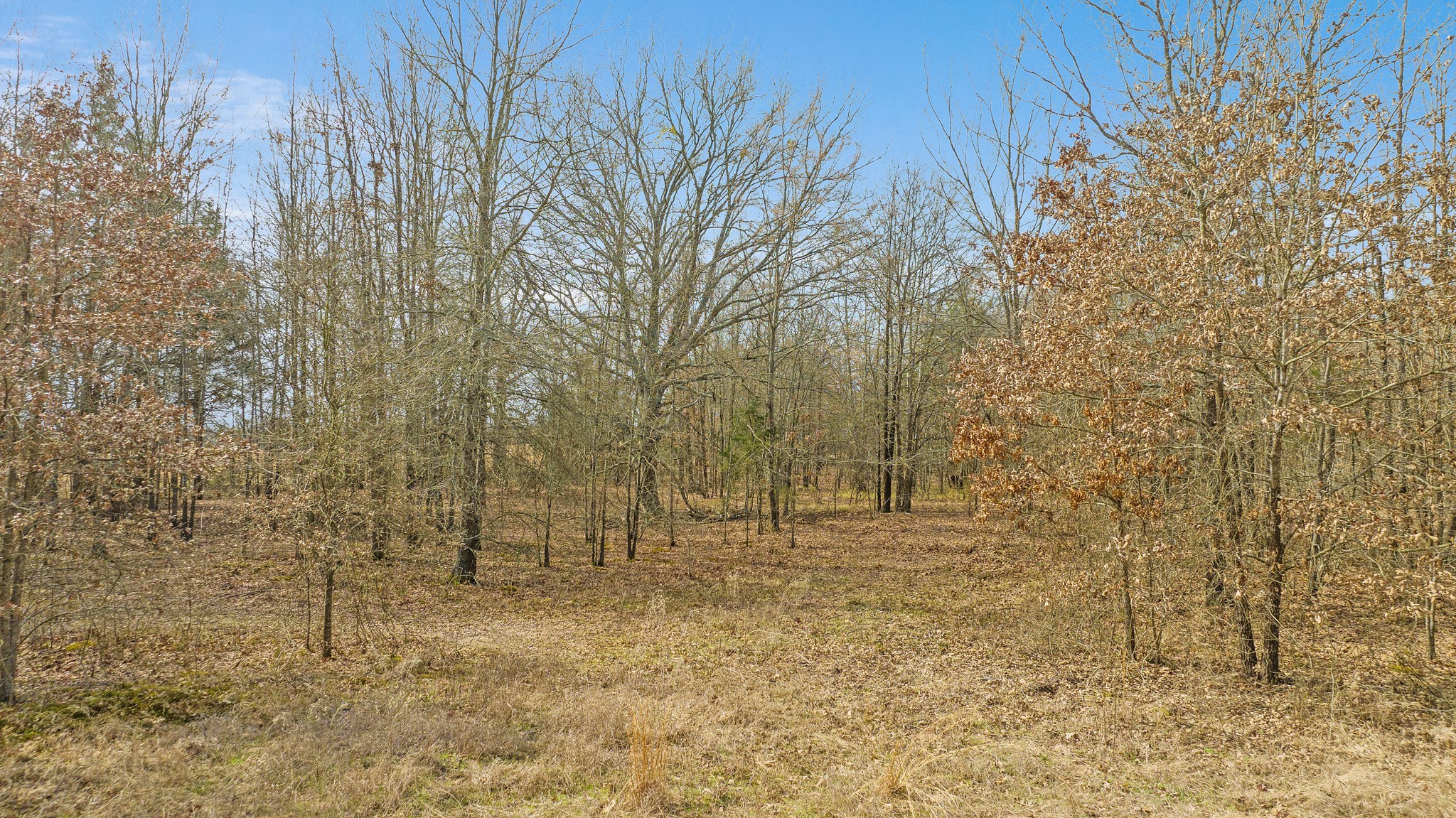 TBD County Road 1420