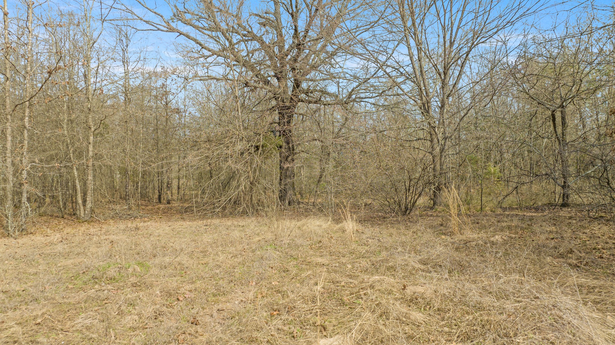 TBD County Road 1420