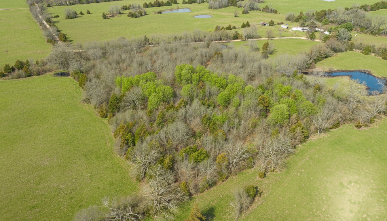 TBD County Road 1420