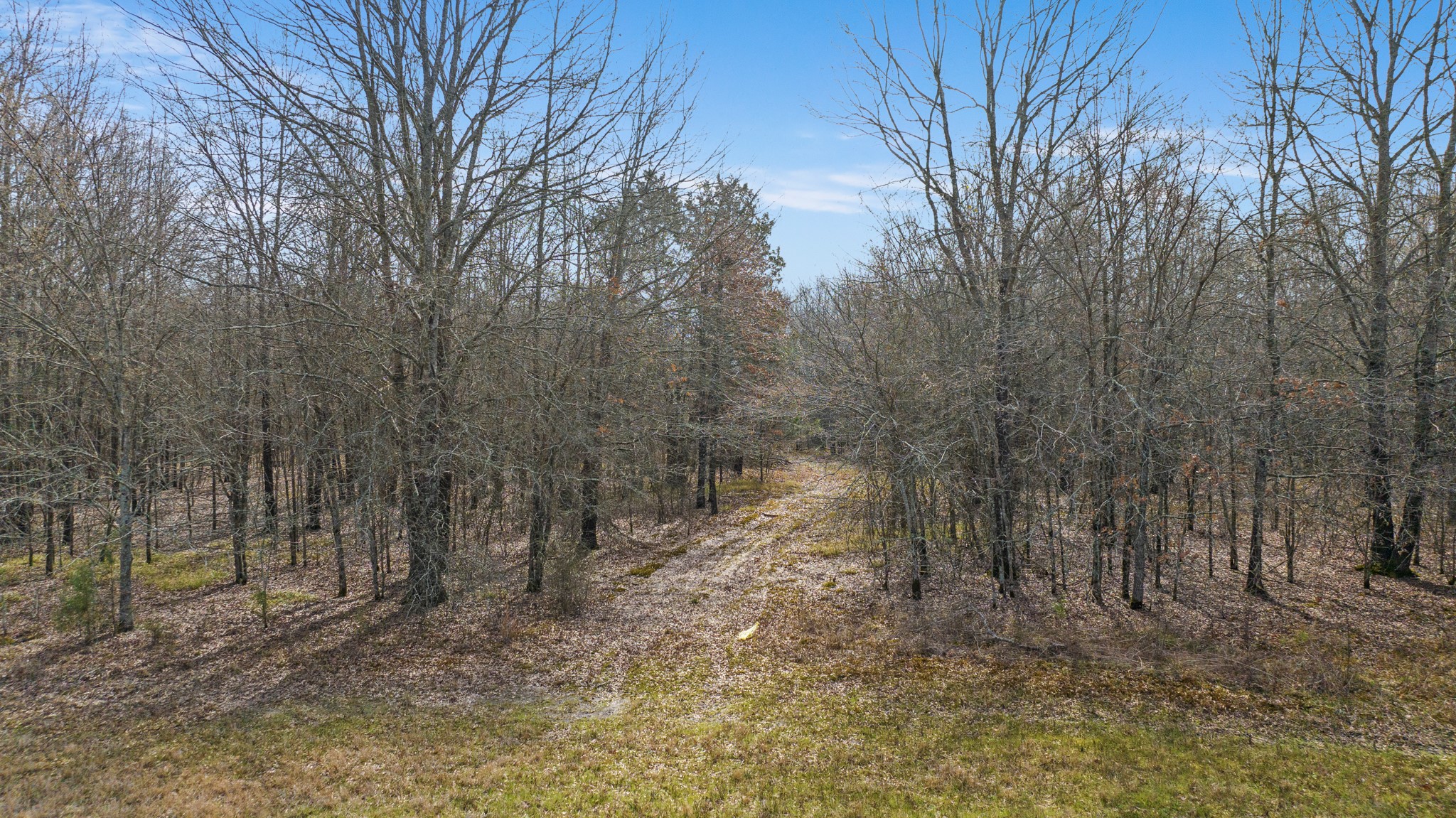 TBD County Road 1420