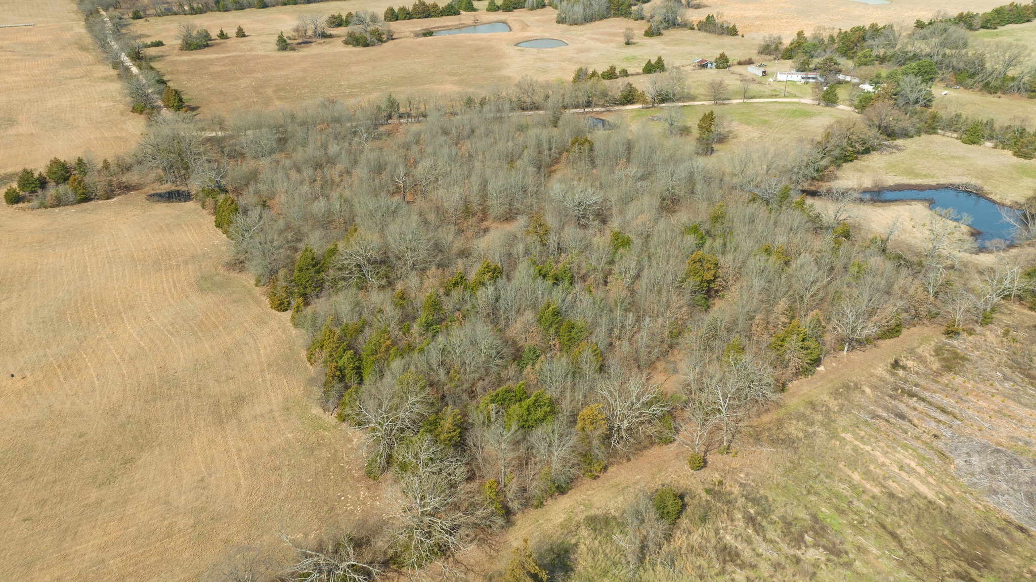 TBD County Road 1420