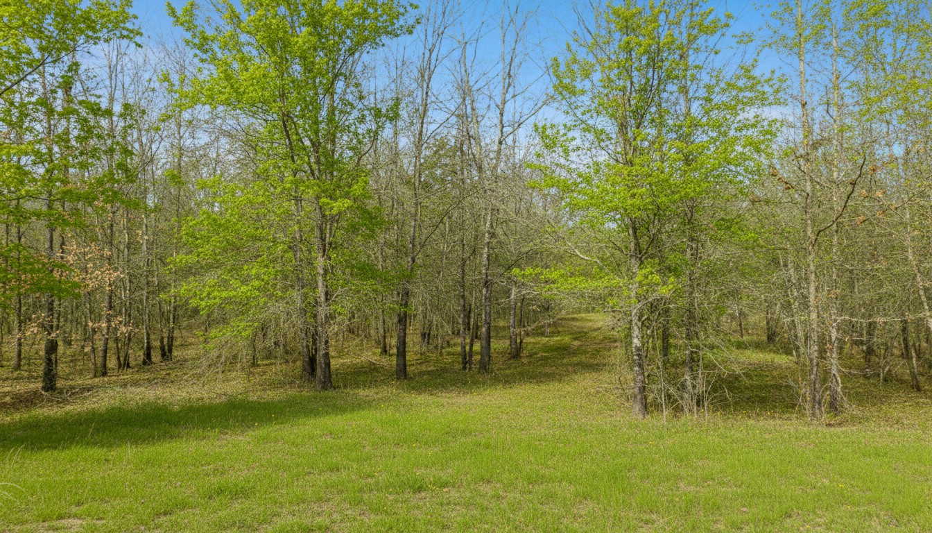 TBD County Road 1420