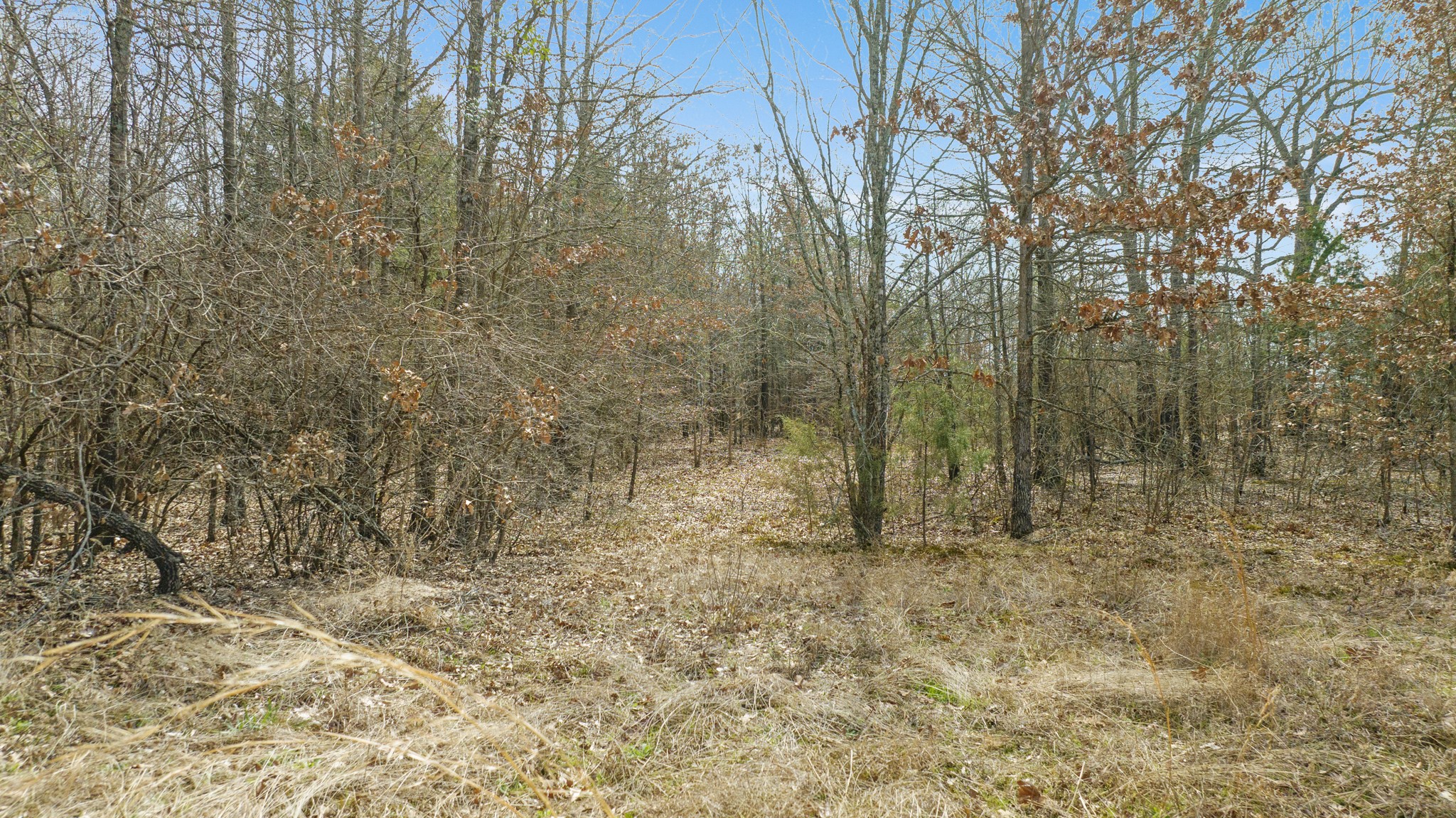 TBD County Road 1420