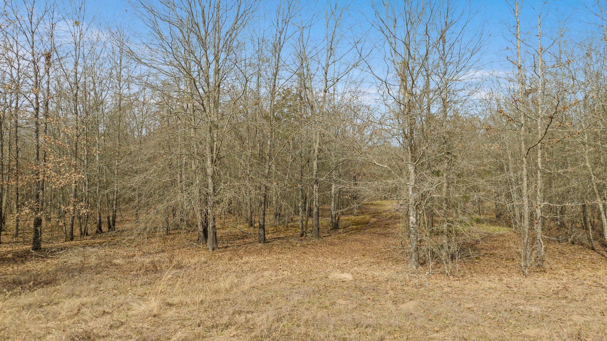 TBD County Road 1420