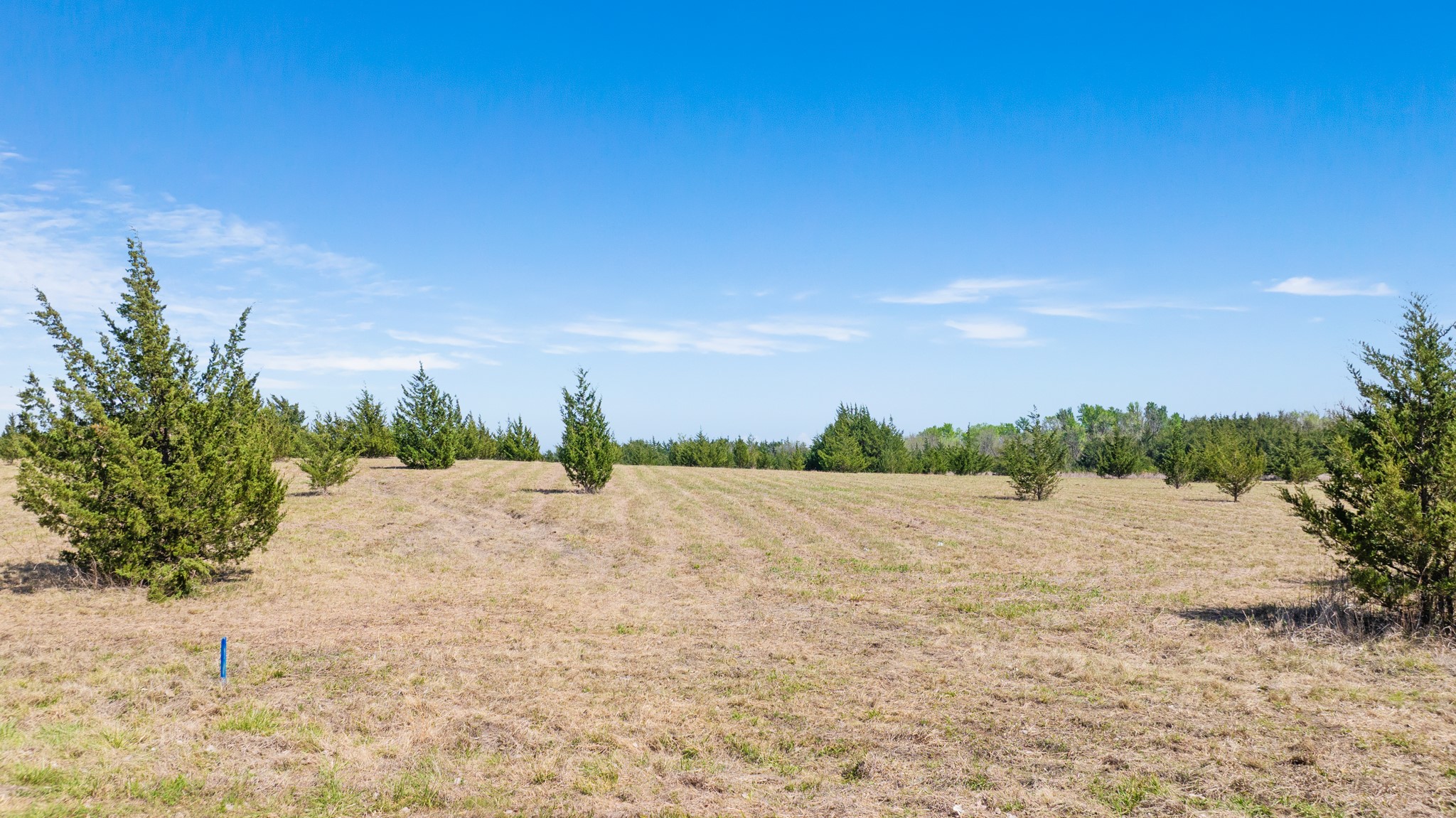 TBD LOT 2 COUNTY ROAD 43380
