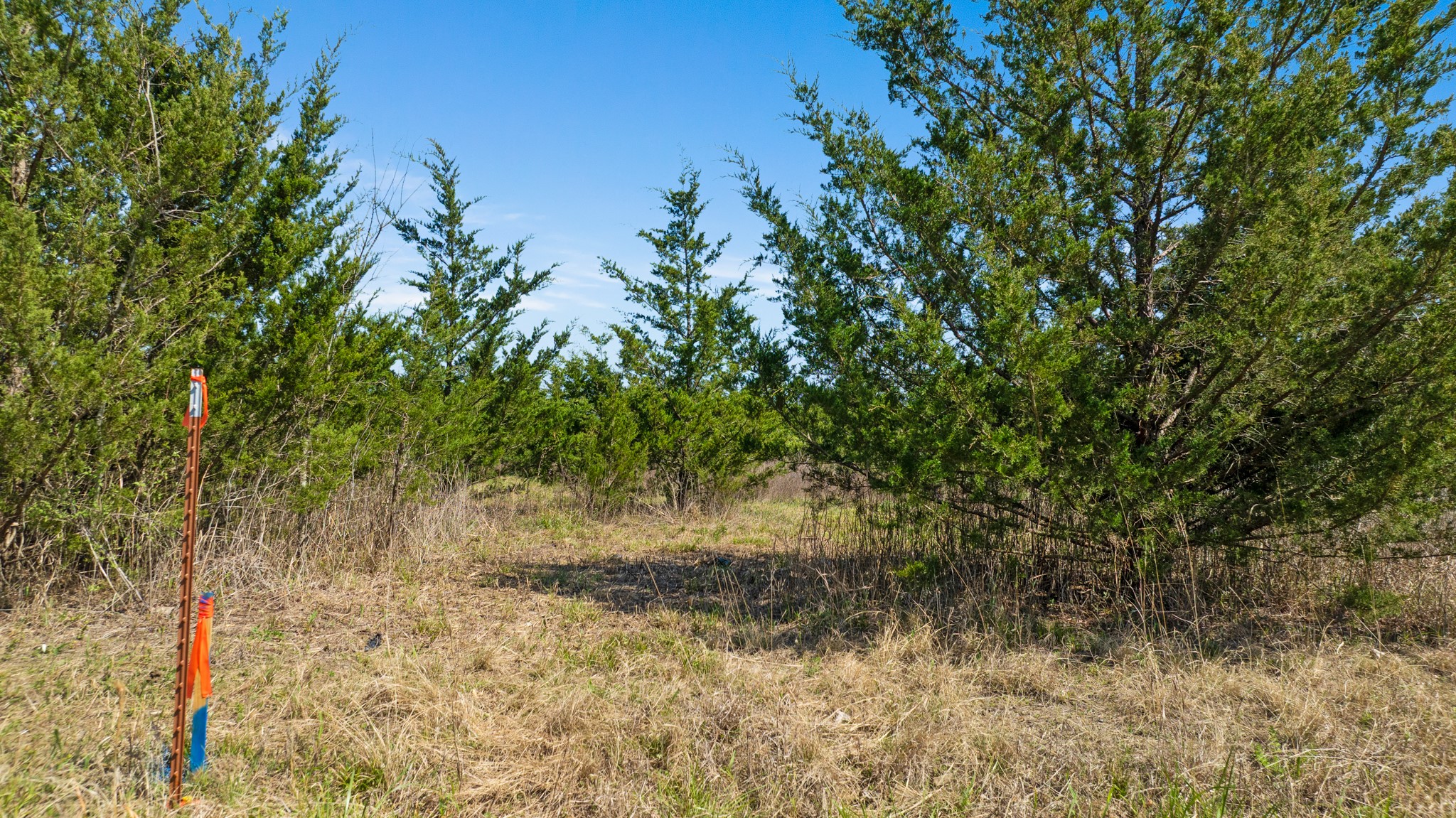 TBD LOT 2 COUNTY ROAD 43380