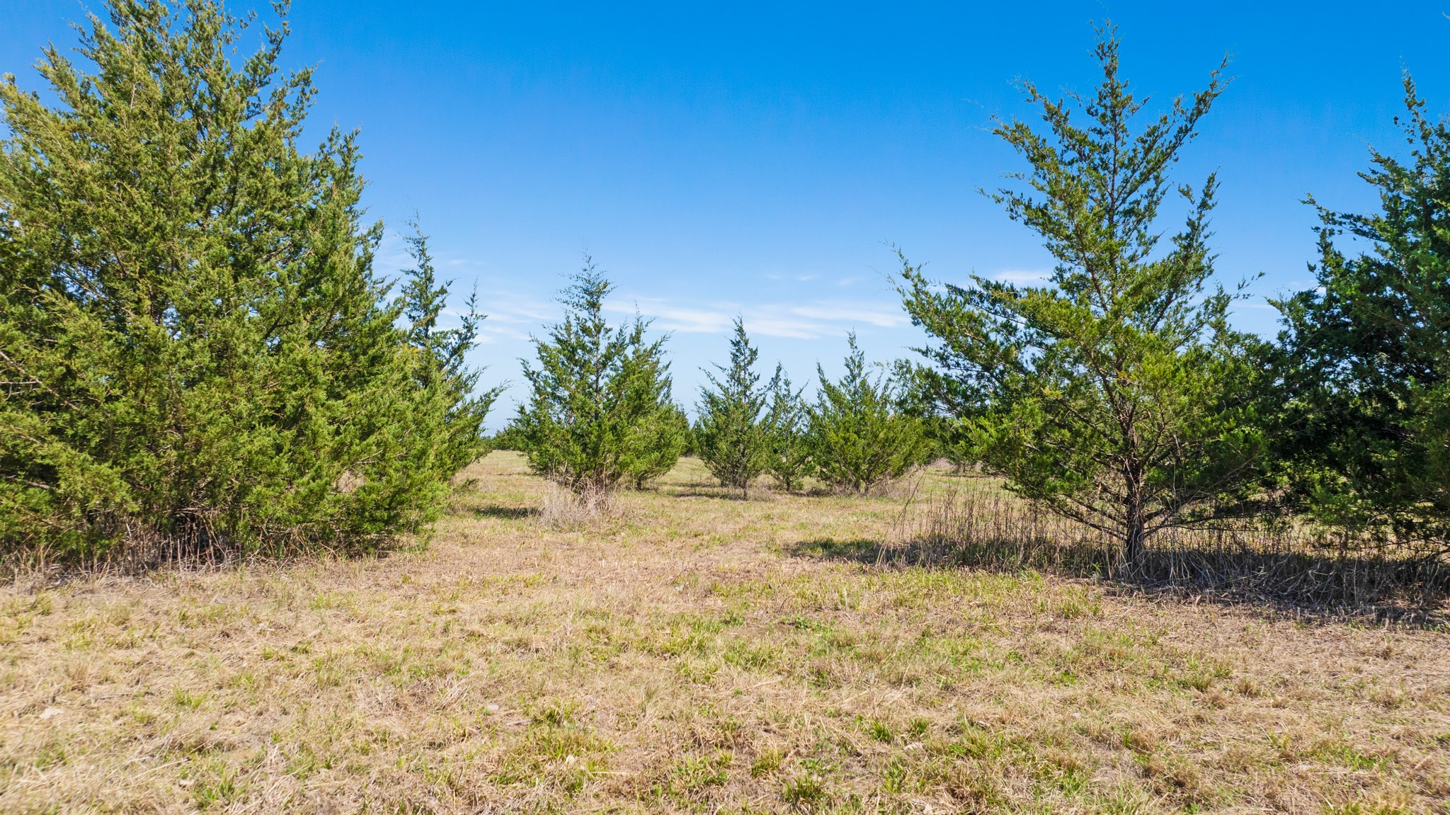 TBD LOT 2 COUNTY ROAD 43380