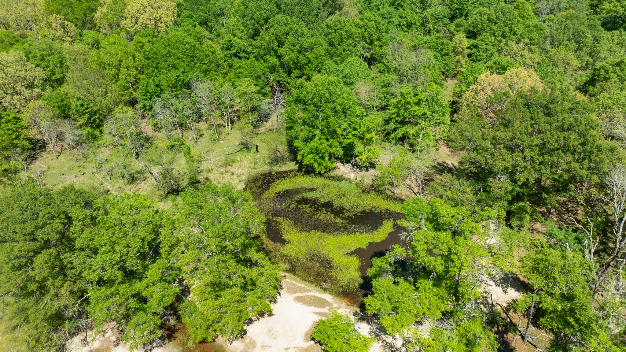 000 COUNTY ROAD 2356