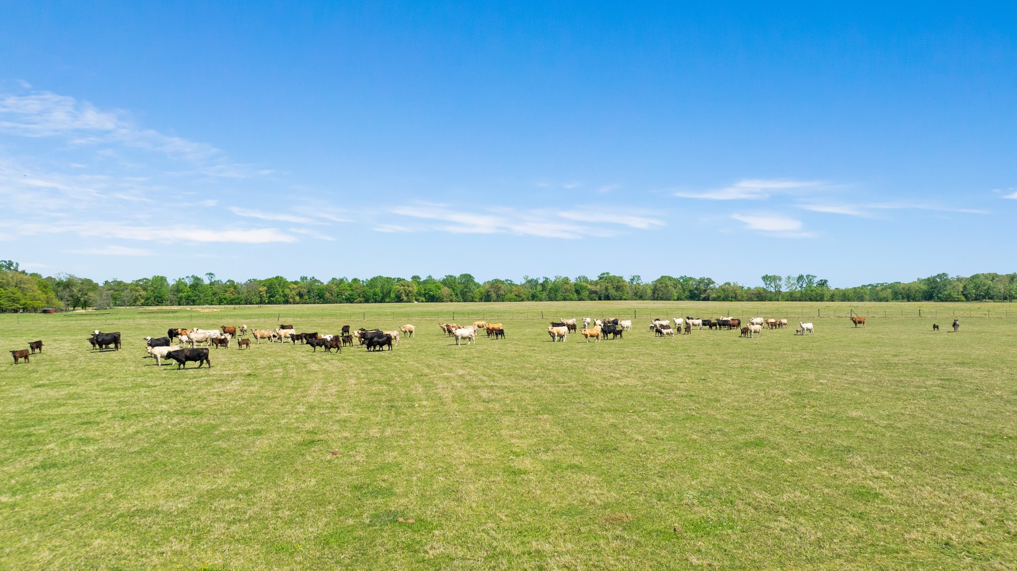 000 COUNTY ROAD 2356