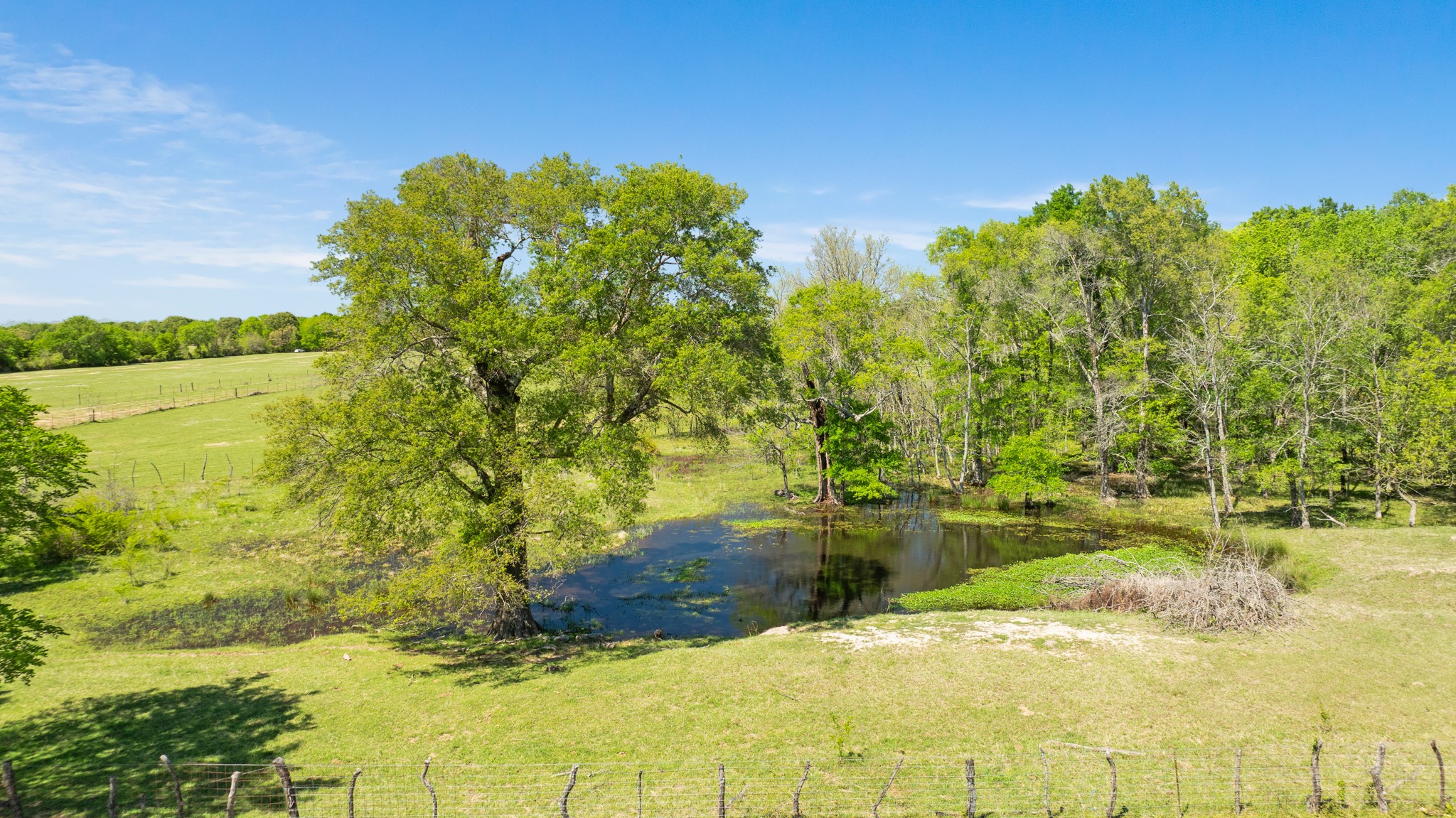 000 COUNTY ROAD 2356