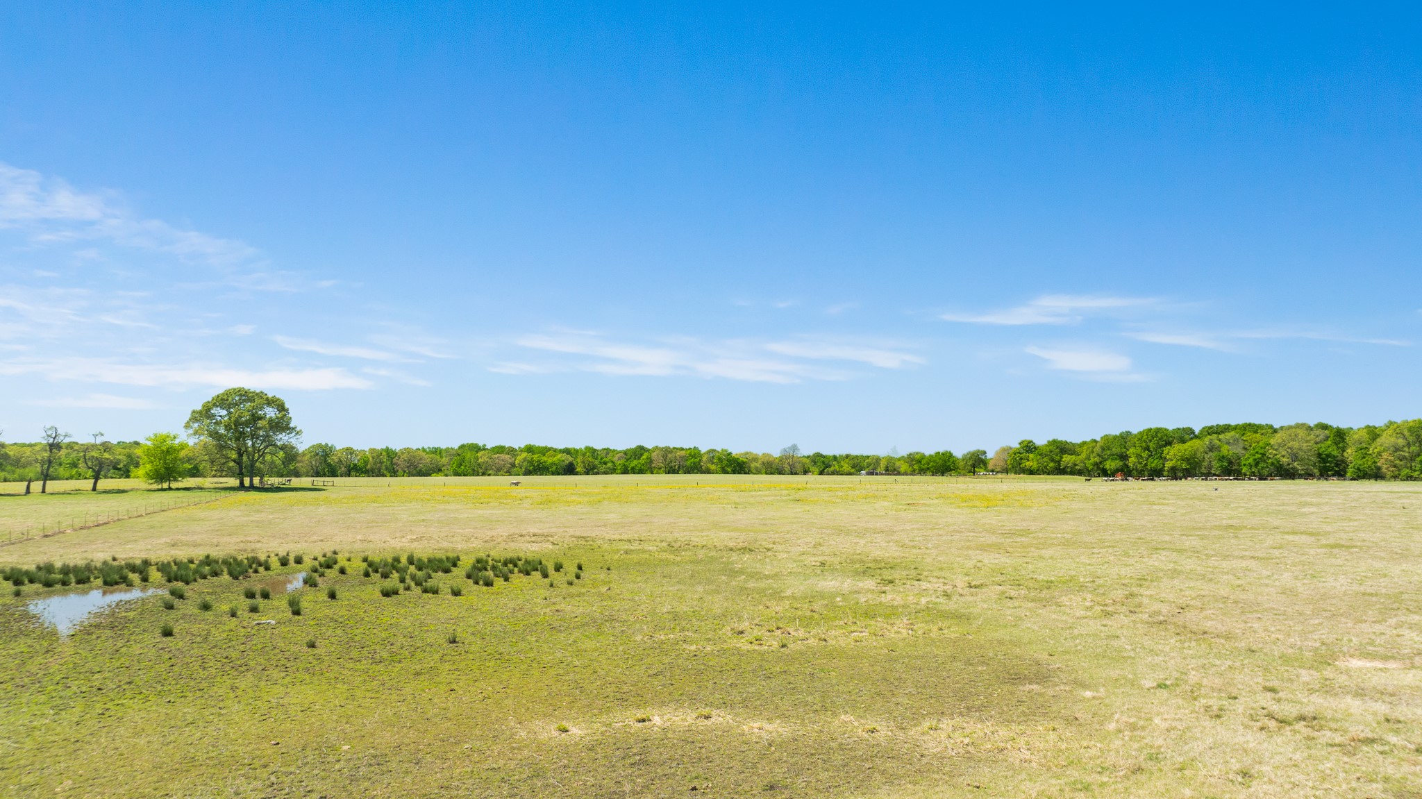 000 COUNTY ROAD 2356