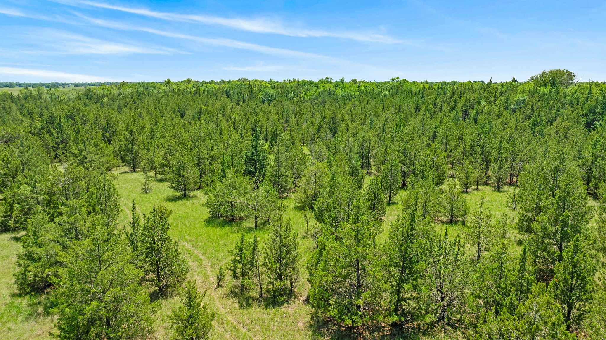 TBD County Road 15220