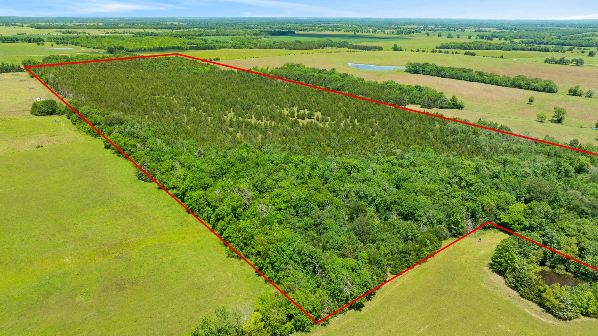TBD County Road 15220