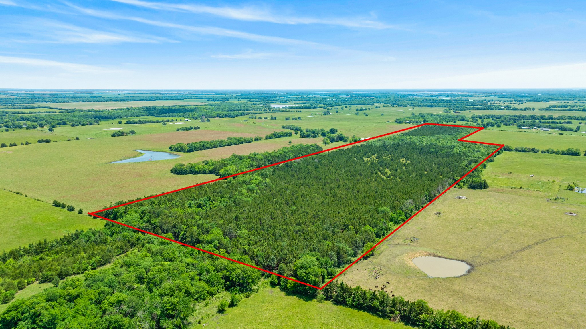 TBD County Road 15220